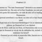 Psalmul 13