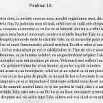 Psalmul 16