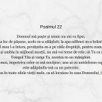 Psalm 22