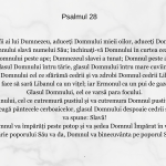 Psalmul 28