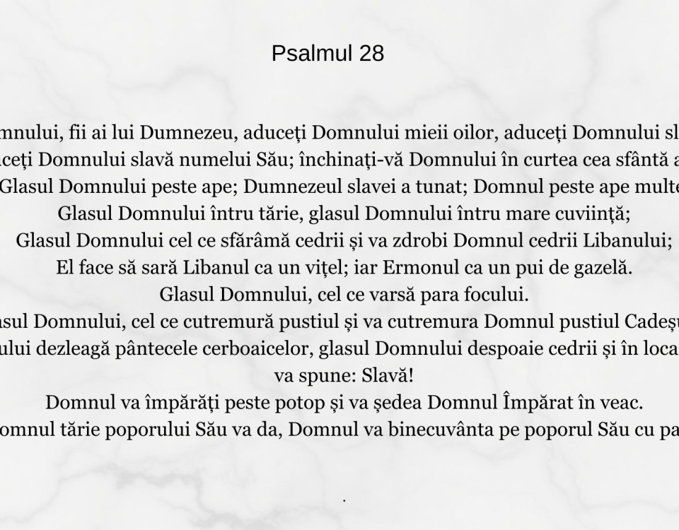 Psalmul 28
