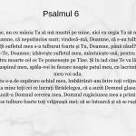 Psalmul 6