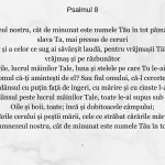 Psalmul 8