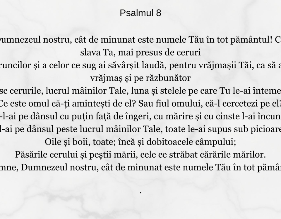 Psalmul 8