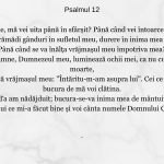 Psalmul 12
